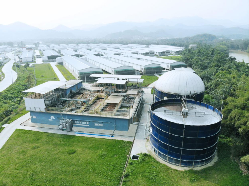 Daping Duck Farm Wastewater Treatment Project Daping Duck Farm Wastewater Treatment Project