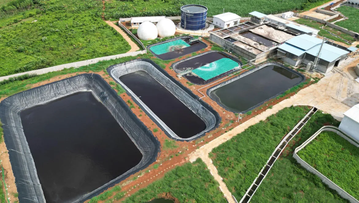 Suixi Caolang Fattening Farm Sewage Treatment Project