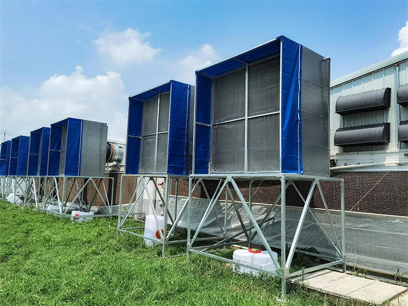 Fresh Air Purification System