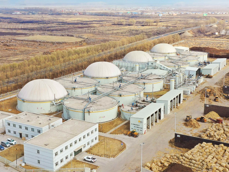 Wuchang Lalin 8MW Biomass Biogas CHP Project Wuchang Lalin 8MW Biomass Biogas CHP Project