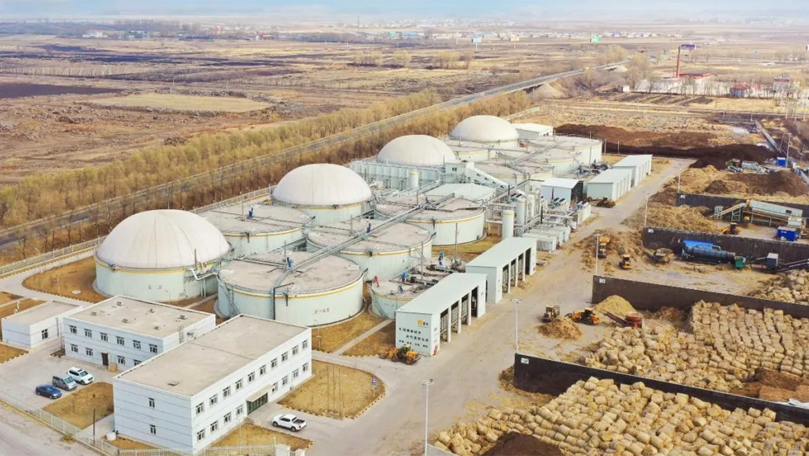 Wuchang Lalin 8MW Biomass Biogas CHP Project