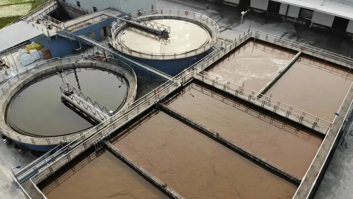 From Agricultural Waste to Circular Value: Yikang Ecological's Integrated Approach
