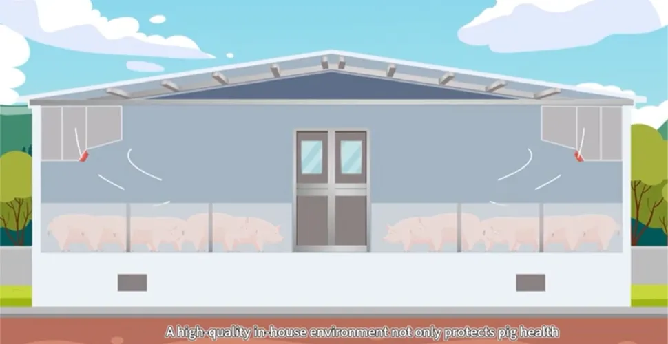 Fresh Air Purification System Video